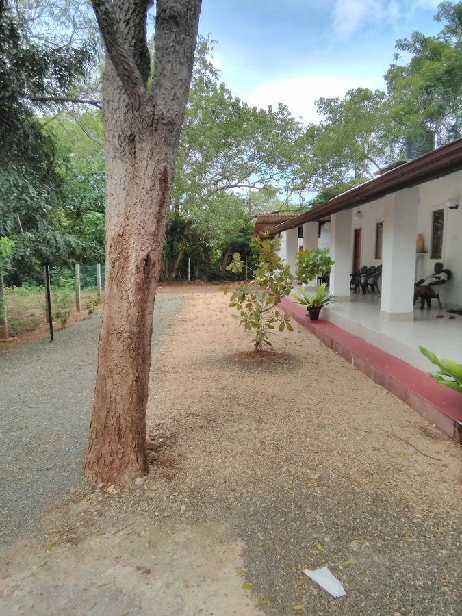 Amadi Rest Hotel Kataragama Luaran gambar